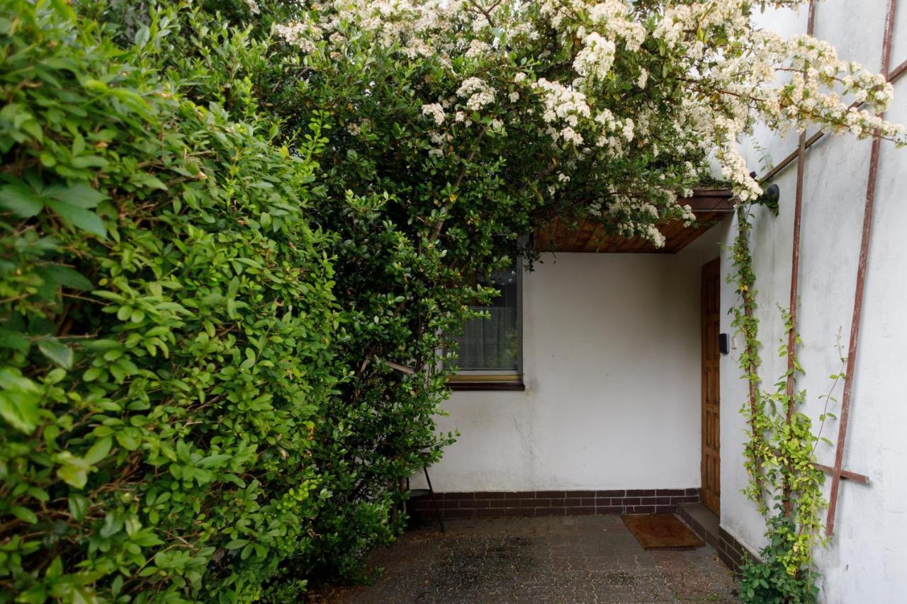 Apartament Miriada 16 Rowy  Exterior photo